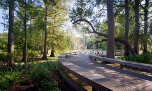 hth华体会体育app官网Tree-lined boarded path, lsu landscape architecture alumni design