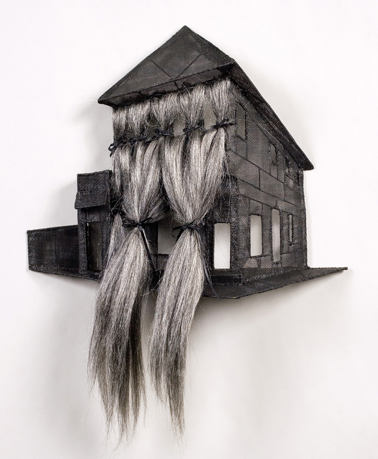 House with hair on one side, by Loren Schwerd