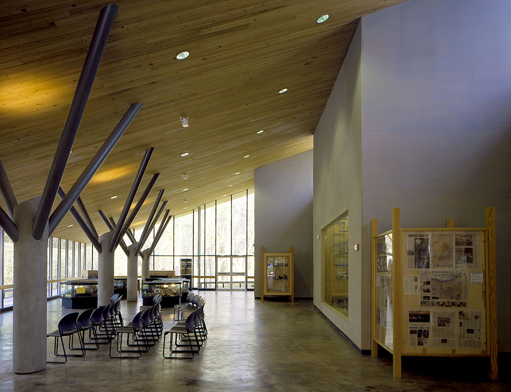 Bluebonnet Swamp museum interior