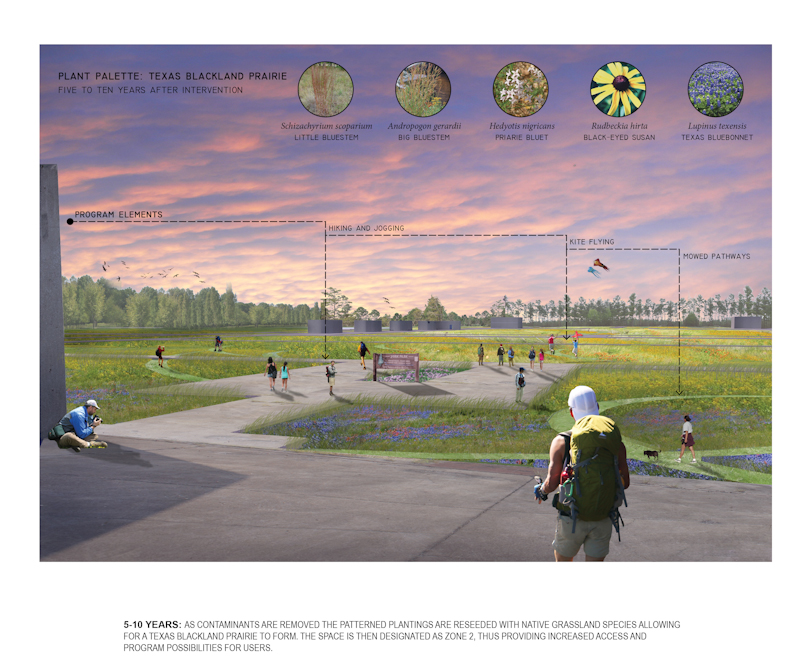 Plant Palatte: Texas Blackland Prairie, LA 5002 Landscape Design VIII Capstone Project