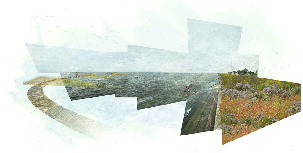 Geometric shapes with images of field, water, coast.LA 7003: Graduate Landscape Design III: Community Design