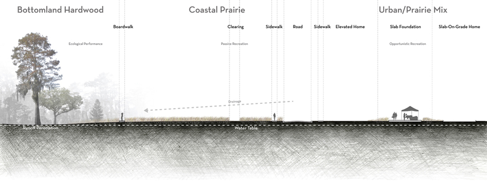 Cross section with bottomland hardwood, coastal prairie, urban/prairie mix with boardwalk, clearing, sidewalk, road, elevated home, slab foundation, home indicated.LA 7003: Graduate Landscape Design III: Community Design