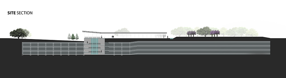 Site section with lines, trees.LA 7003 Graduate Landscape Design: Water Studio