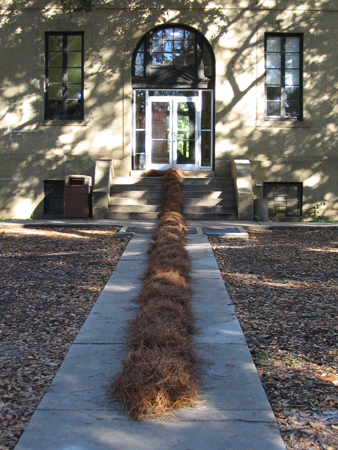 Sculpture resembling pine needles, leading up path toward building steps.Michael Williams LSU MFA Thesis