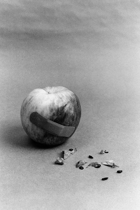 Apple with bandaid, lsu intermediate photography