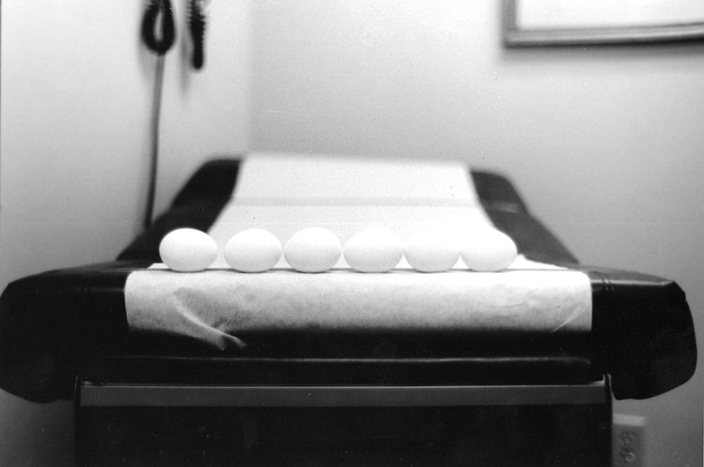 Eggs on medical examination table, lsu intermediate photography