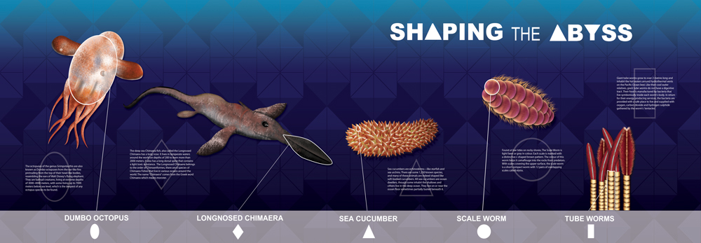 Shaping the Abyss design with illustrated dumbo octopus, longnosed chimaera, sea cucumber, scale worm, tube worms.LSU BFA Studio Art Graphic Design