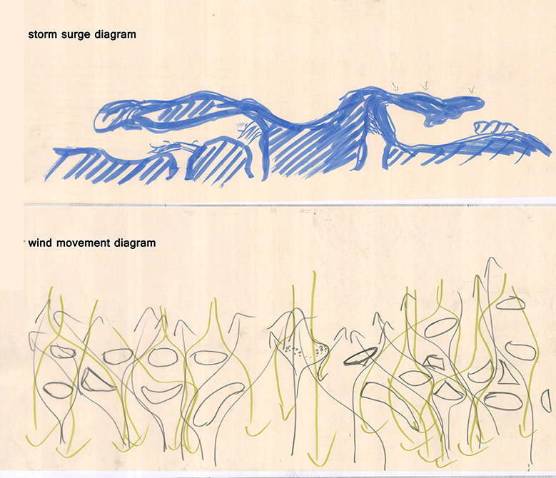 LA 3001 Landscape Design III: Shifting Sands