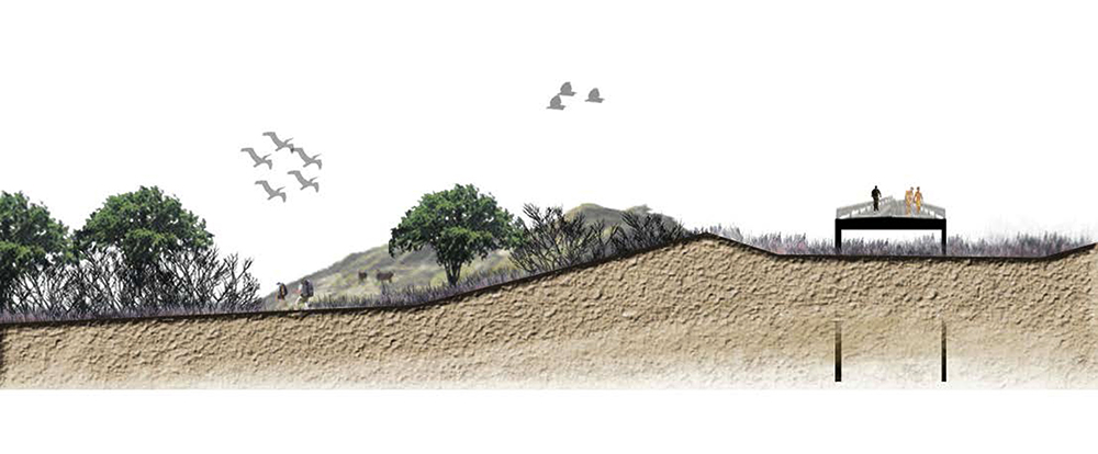 LA 3001 Landscape Design III: Shifting Sands