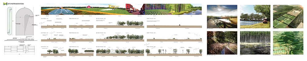 LA 4001 Landscape Design V: Delta Divides