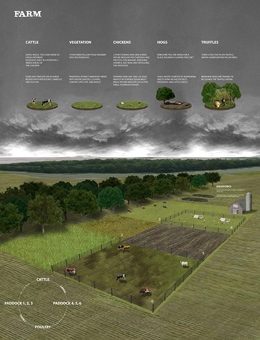 LA 4001 Landscape Design V: Delta Divides