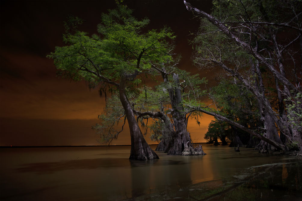 swamp at night.Justin Patin, BFA 2017