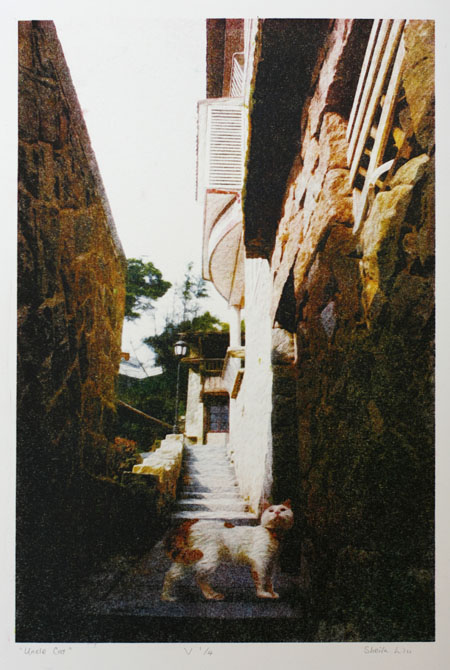 Cat in narrow stone stairway.LSU BFA Studio Art Printmaking Digital Art