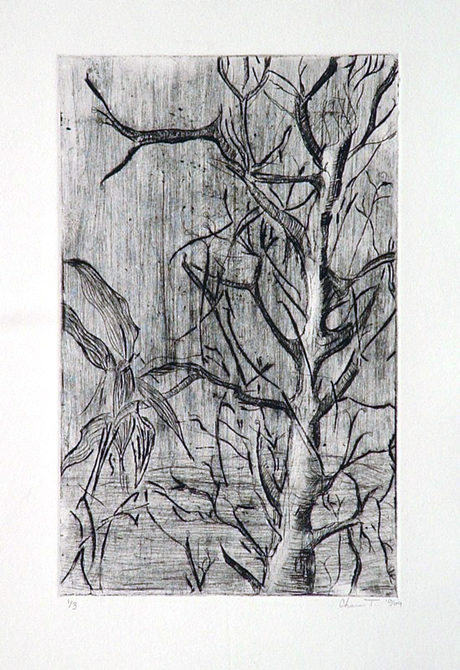 Drawing of a tree, LSU BFA Studio Art Printmaking