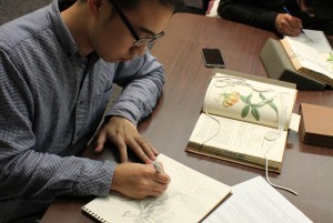 Student sketching from a book in LSU Hill Memorial Library