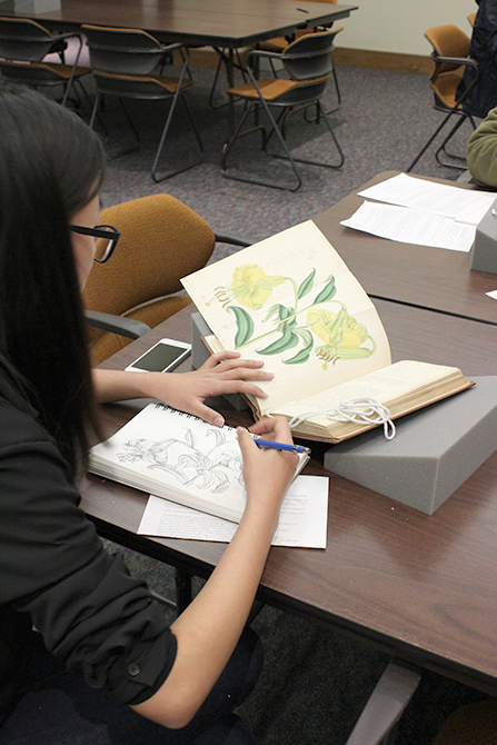 lsu hill memorial library student sketching