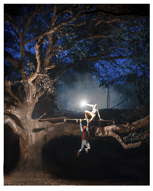 boys climbing tree at night