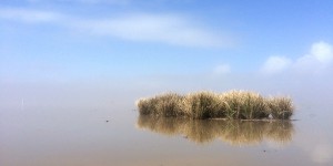 The Wax Lake Delta