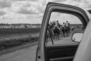 black and white photo horses through car door, lsu photography faculty work