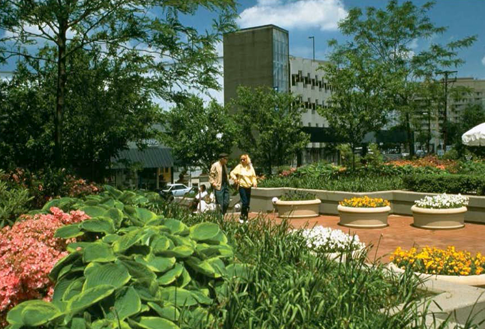 garden space