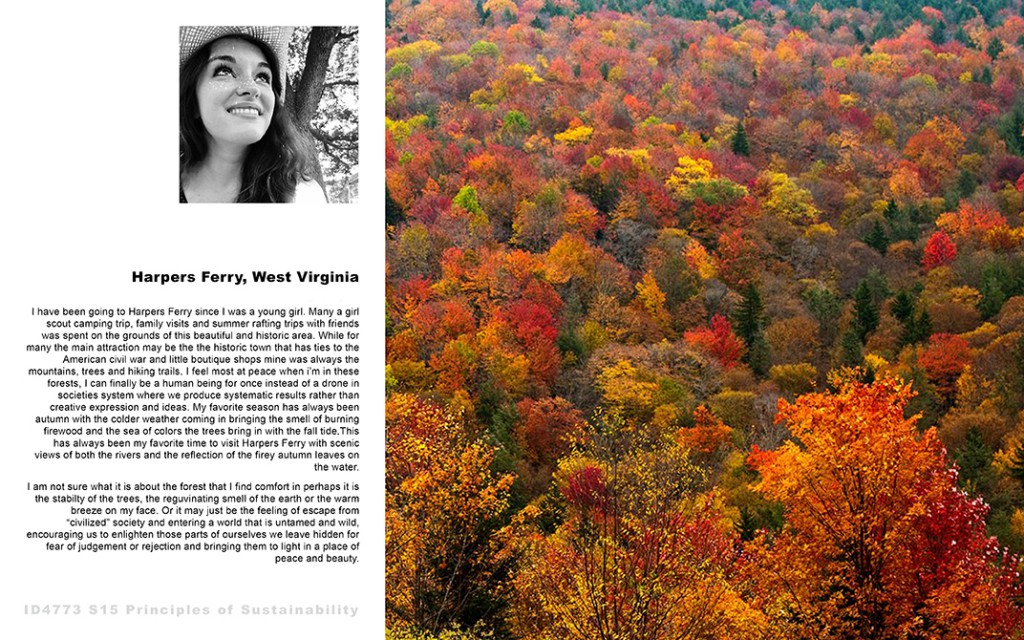 Aerial photo of colorful autumn foliage.interior design student work