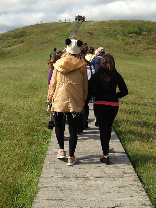 People walking on path through grass