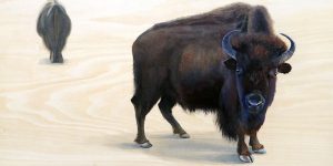 painting of bison, shelby prindaville