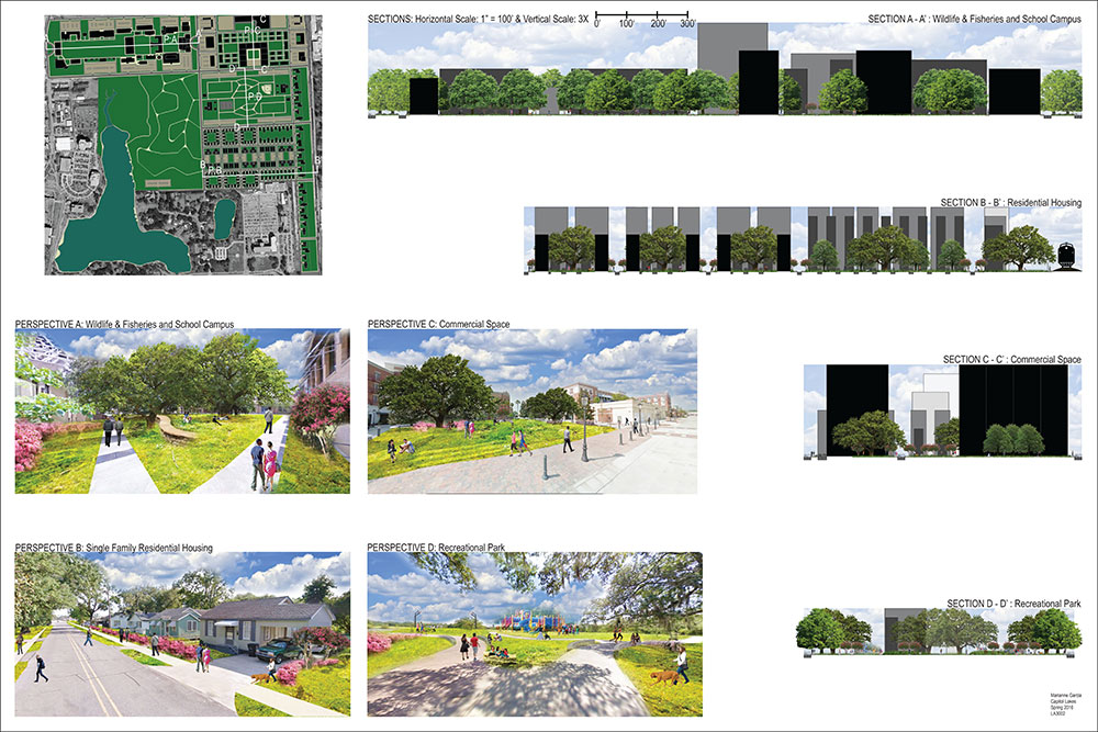 lsu landscape design iv