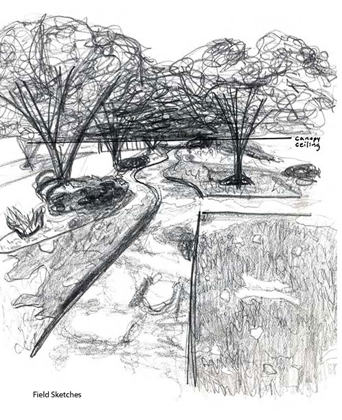 lsu landscape design I