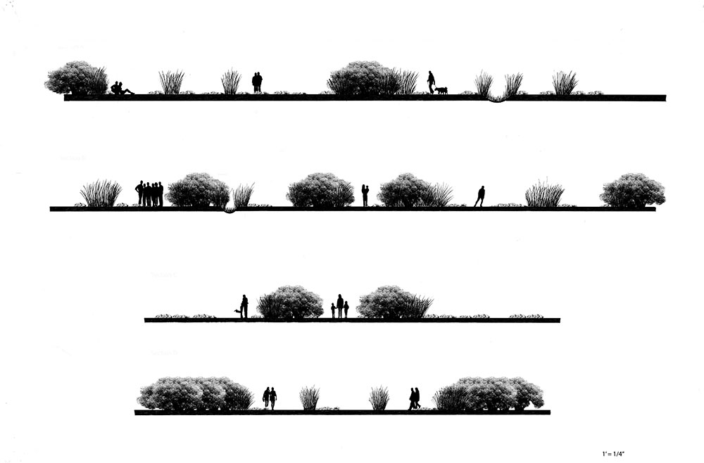 hth华体会体育app官网LSU landscape architecture site sections