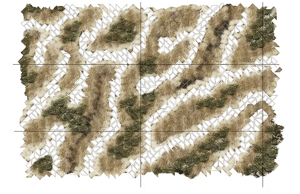 hth华体会体育app官网LSU landscape architecture planting pattern diagram