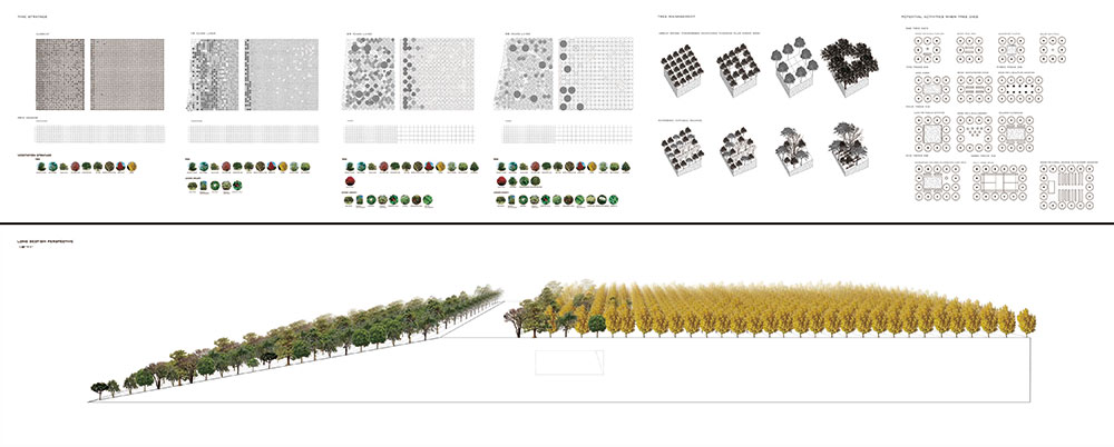 hth华体会体育app官网LSU landscape architecture diagram