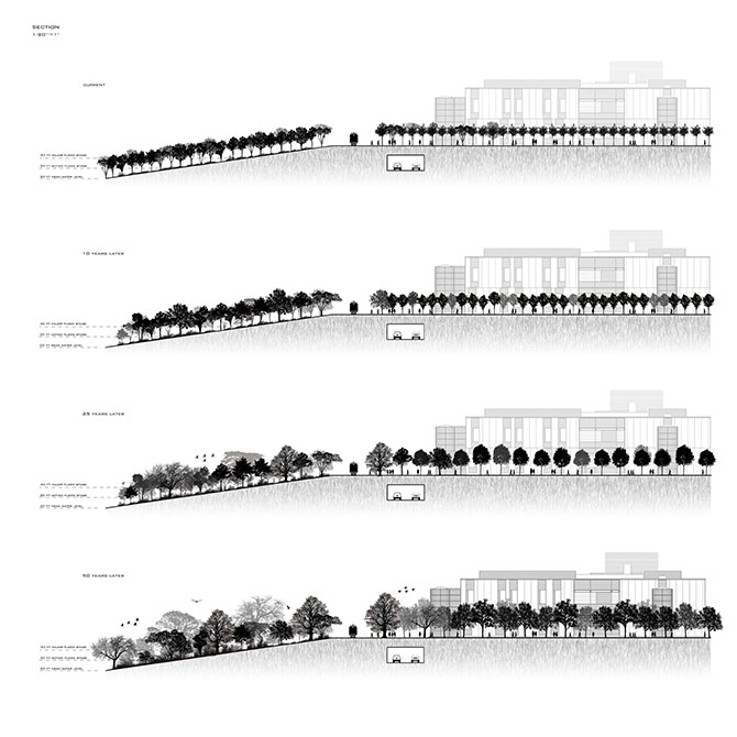 hth华体会体育app官网LSU landscape architecture sections