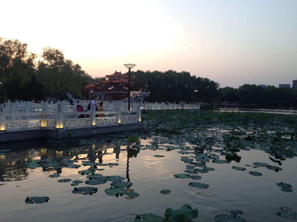 Pond with lily pads