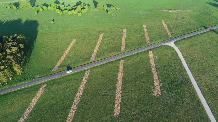 Overhead view of green field with lines cut in it