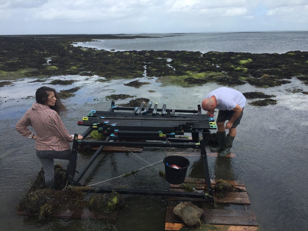 Female student and professor building tower in water