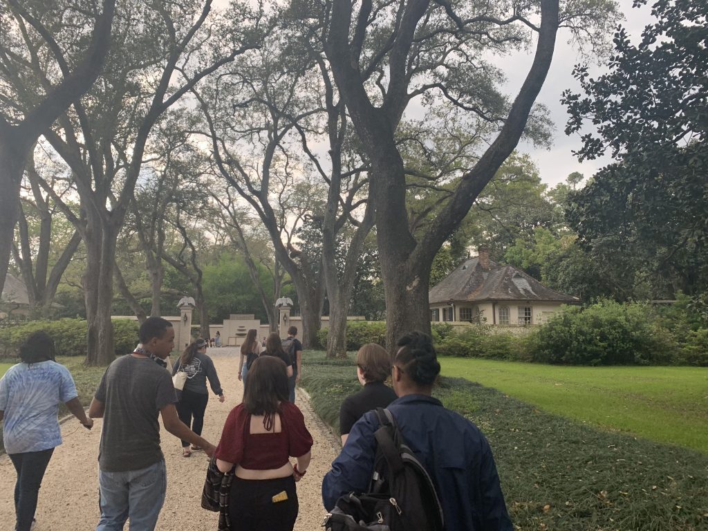 Students walk under trees