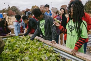 Youths by planter box of vegetables