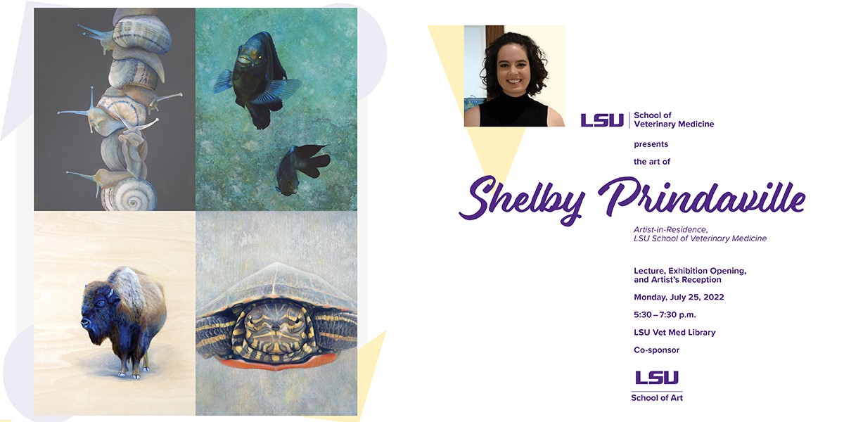 Shelby Prindaville Lecture, Exhibition reception.Photo of Shelby and images of paintings of snails, fish, buffalo, turtle