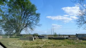 cemetery