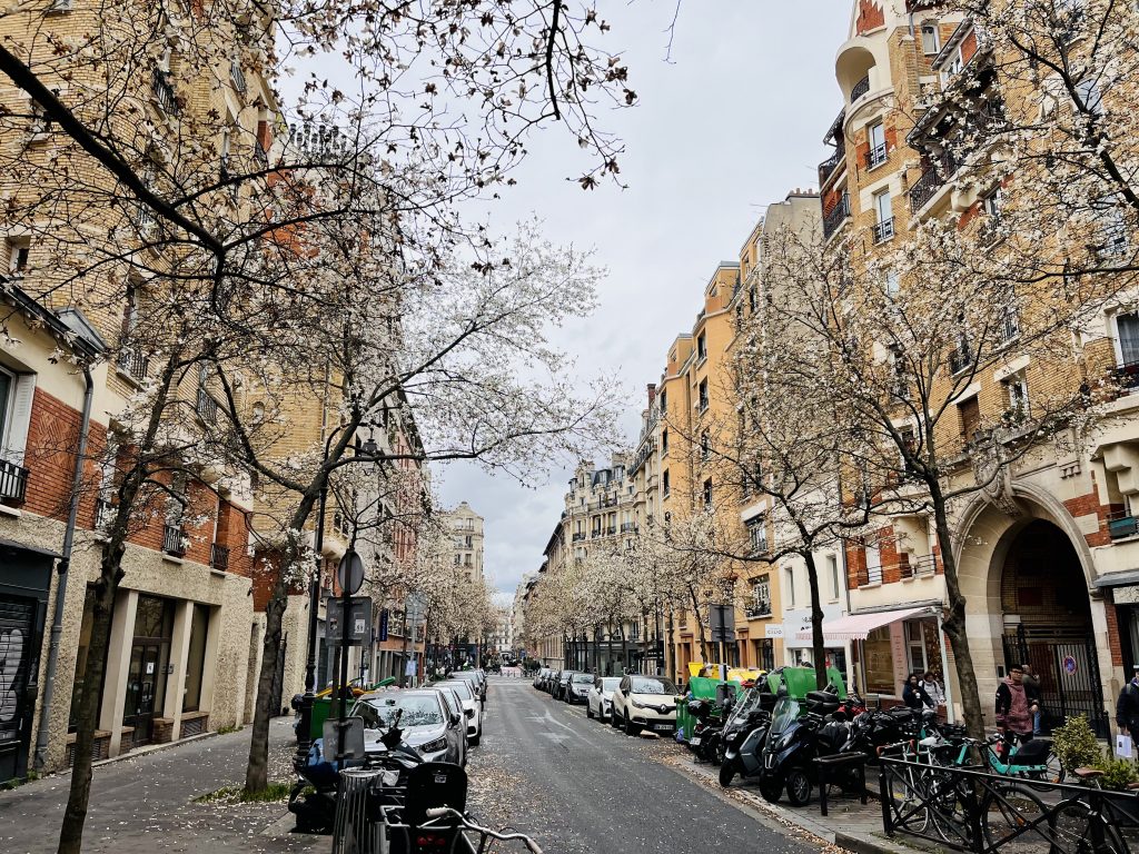 European city, flowering trees in bloom