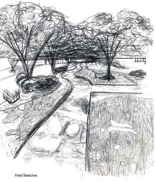 lsu landscape design I